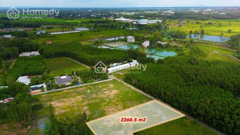 Hạ giá lô đất Long Phước - Đảm bảo giá rẻ nhất thị trường chỉ 3,0tr/m2 - Ảnh 1