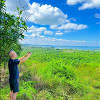 Bán 6.563m2 đất view hồ Trị An, mặt tiền dài 82m, đường betong, sổ hồng chính chủ