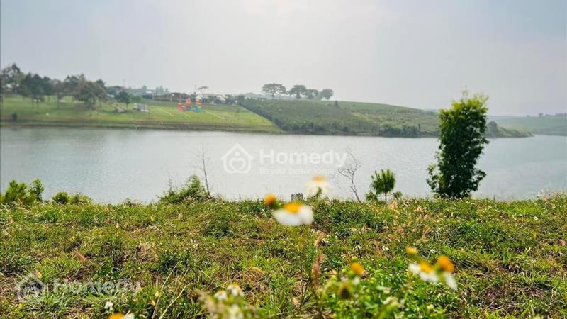 Bán đất giáp mặt nước hồ Cánh Bướm tại Bảo Lâm - Ảnh 3