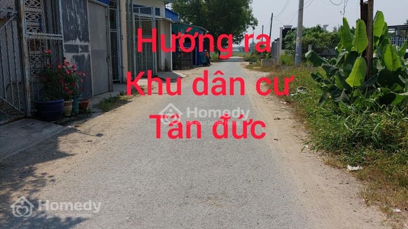 Bán 250m2 thổ cư 1/ đường TL824 (đường 2. Than) Đức Hòa Hạ, Đức Hòa Long An giá rẻ - Ảnh 4