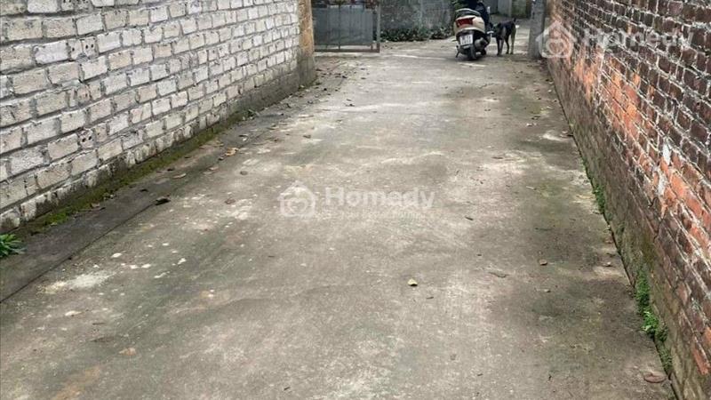 chính chủ cần bán đất thổ cư 1 tỷ (gần QL 21) - Ảnh 3