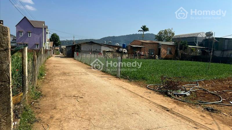 Cần bán gấp đất gần KDL làng gà, khu đông dân, view tháng đẹp - Ảnh 3