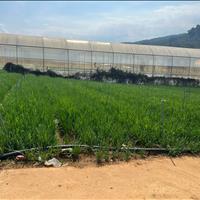 Cần bán gấp đất gần KDL làng gà, khu đông dân, view tháng đẹp