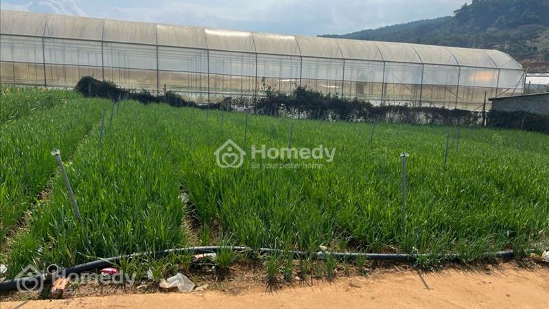 Cần bán gấp đất gần KDL làng gà, khu đông dân, view tháng đẹp - Ảnh 1