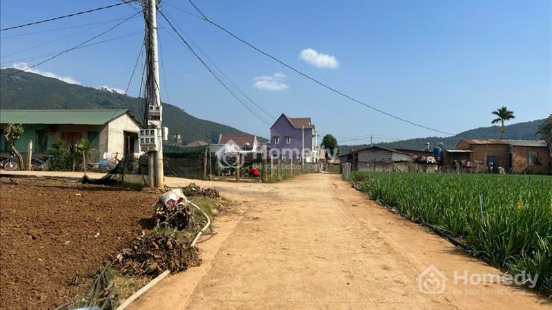 Cần bán gấp đất gần KDL làng gà, khu đông dân, view tháng đẹp - Ảnh 2