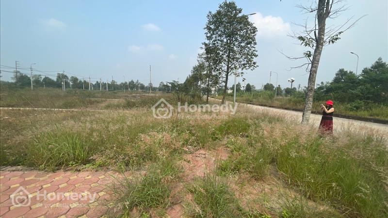 Rẻ nhất TĐC Bắc Phú Cát, 200m2 lô đất giá chỉ 35tr/m2 - Ảnh 1