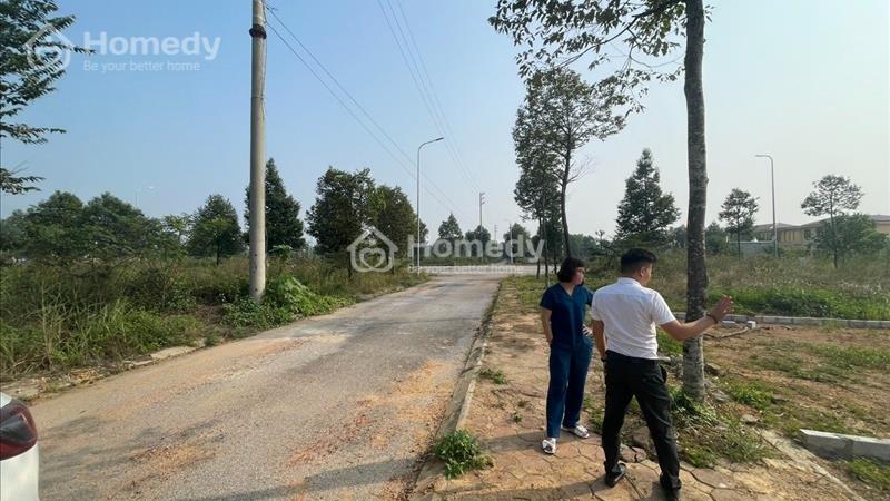 Siêu phẩm 200m2 hai mặt tiền TDC Bắc Phú Cát giá chỉ hơn 35tr/m2 - Ảnh 1