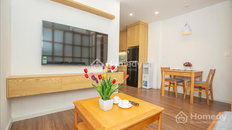 Căn hộ 1 phòng ngủ mới cho thuê phố Phan Kế Bính nội thất mới, gần Lotte cho khách Nhật - Ảnh 2