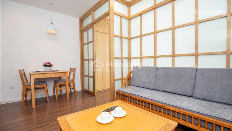 Căn hộ 1 phòng ngủ mới cho thuê phố Phan Kế Bính nội thất mới, gần Lotte cho khách Nhật - Ảnh 3