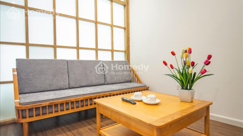 Căn hộ 1 phòng ngủ mới cho thuê phố Phan Kế Bính nội thất mới, gần Lotte cho khách Nhật - Ảnh 4