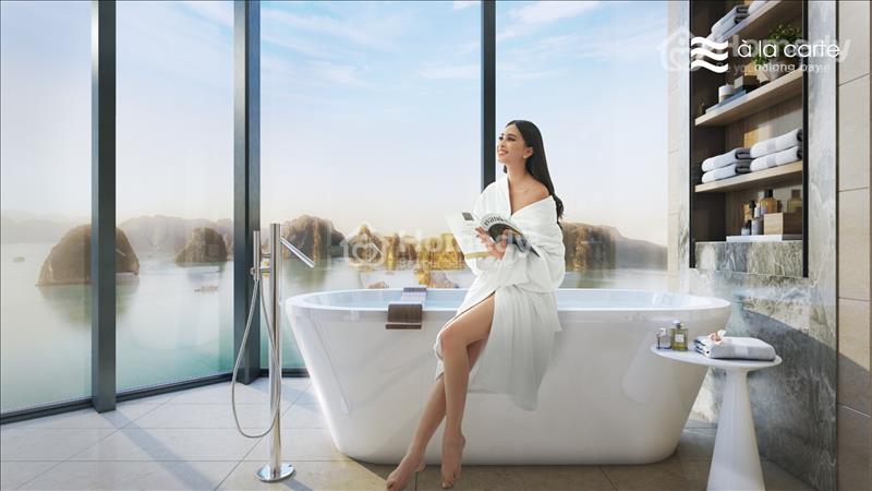 Tổng hợp quỹ cắt lỗ A La Carte Hạ Long view biển, full nội thất nhập khẩu, giá bao tất thuế phí - Ảnh 1