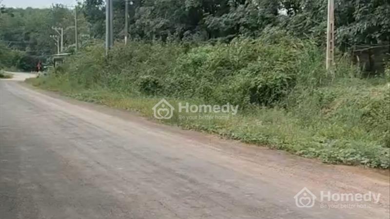 Bán nhanh gân 16000m2 ( 1,6ha )Đồng Phú mặt tiền nhựa 32m giá 5,5 tỷ. - Ảnh 2