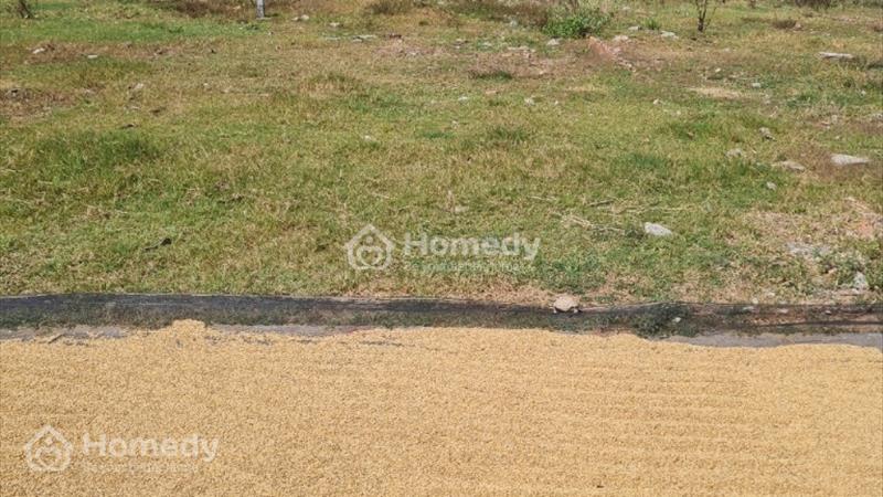 Chính chủ cần ra gấp các đất nền full thổ nội ô thành phố Trà Vinh với giá rẻ - Ảnh 7
