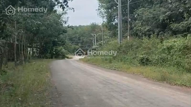 Bán nhanh gân 16000m2 ( 1,6ha )Đồng Phú mặt tiền nhựa 32m giá 5,5 tỷ. - Ảnh 3
