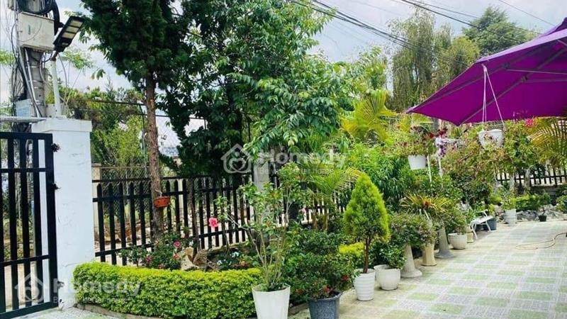 [ Tin Nóng ] Giảm giá Bán gấp căn Villa đường Lý Nam Đế, Đà Lạt 229m2 giá chỉ 11.5 Tỷ - Ảnh 3