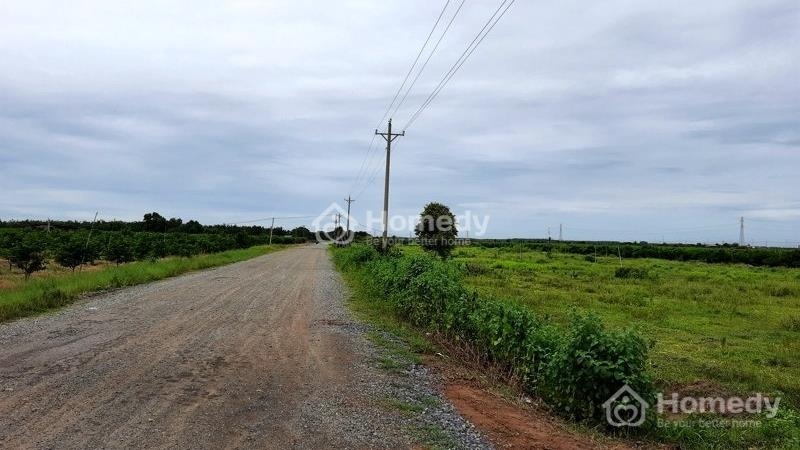 Chỉ 400 triệu sở hữu ngay lô đất thổ cư đối diện khu công nghiệp Hiệp Thạnh - Ảnh 1