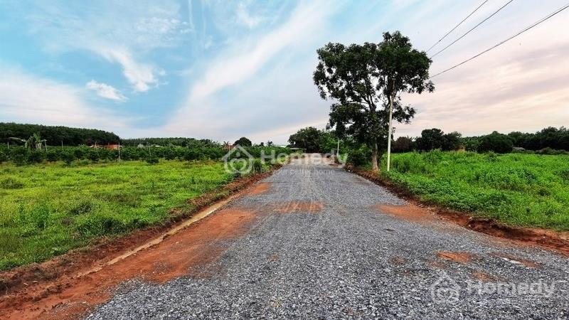 Chỉ 400 triệu sở hữu ngay lô đất thổ cư đối diện khu công nghiệp Hiệp Thạnh - Ảnh 2