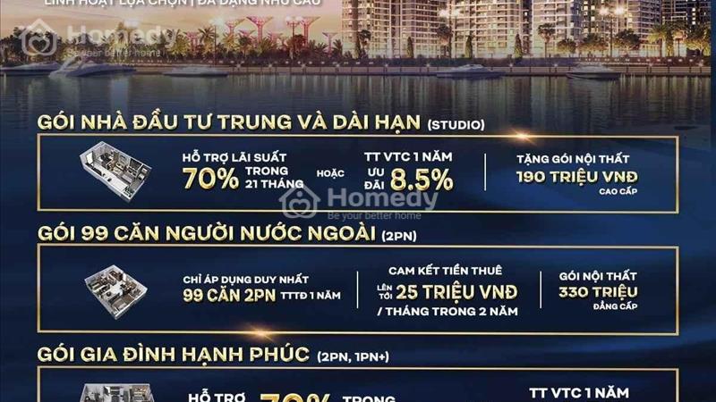 Beverly còn lại những căn cuối cùng- chính sách ưu đãi lên 1 tỷ đồng - Ảnh 3