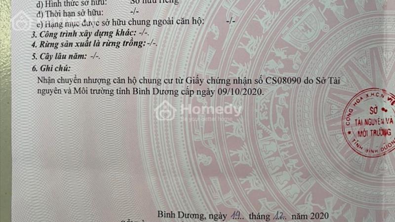 Chính chủ bán rẻ căn hộ Sen Hồng giá rẻ 1.07 tỷ/37m2 - Ảnh 7