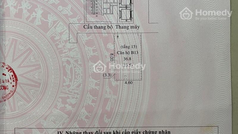 Chính chủ bán rẻ căn hộ Sen Hồng giá rẻ 1.07 tỷ/37m2 - Ảnh 8