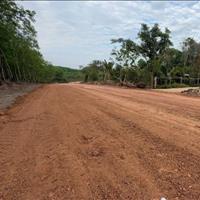 Thanh lý nền 100m2 ngay khu vực Gò Dầu,Tây Ninh. Sẵn sổ, GIÁ rẻ như cho
