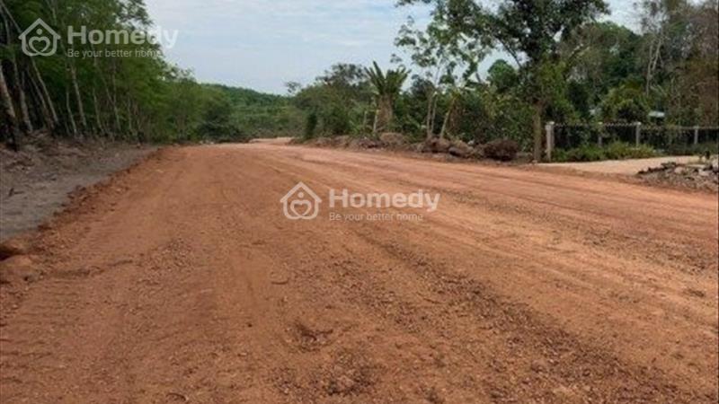 Thanh lý nền 100m2 ngay khu vực Gò Dầu,Tây Ninh. Sẵn sổ, GIÁ rẻ như cho - Ảnh 1