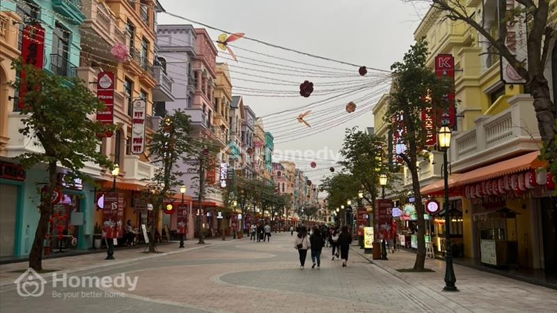 Bán BT LK GÓC view công viên trung tâm vị trí độc tôn Vinhomes Ocean Park 3 giá 22 Tỷ - Ảnh 4