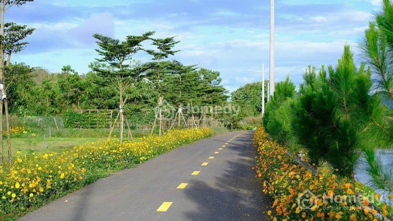 Bán lỗ lô đất Park Hill - Lộc Tân - Tp Bảo Lộc giá ngộp 490 triệu - Ảnh 4