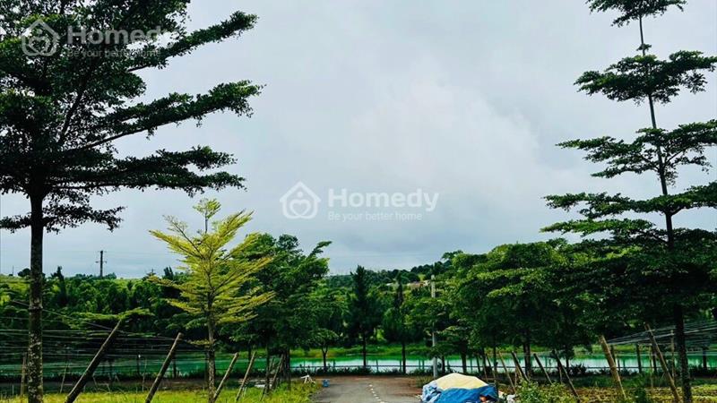 Bán lỗ lô đất Park Hill - Lộc Tân - Tp Bảo Lộc giá ngộp 490 triệu - Ảnh 6