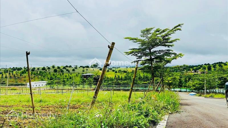 Bán lỗ lô đất Park Hill - Lộc Tân - Tp Bảo Lộc giá ngộp 490 triệu - Ảnh 5
