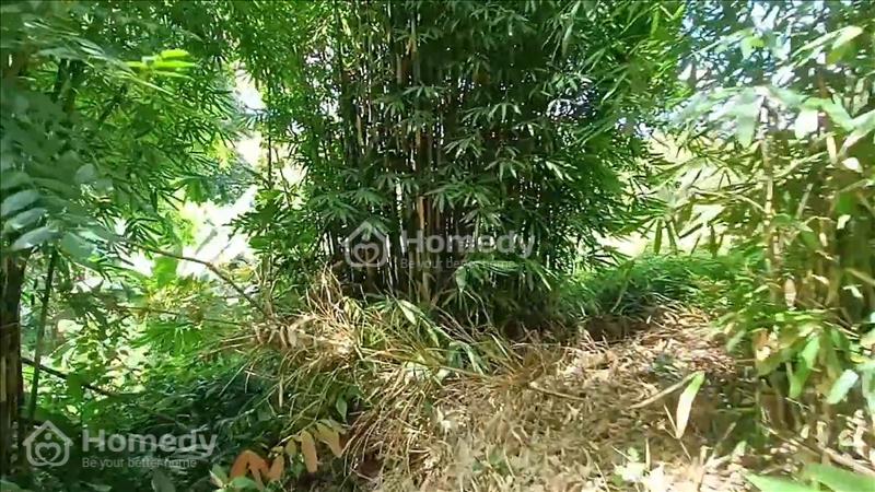Bán đất view thác đá trung tâm Huyện ĐăkRLấp, 1.2ha ôm thác giá 1.550 tỷ - Ảnh 7