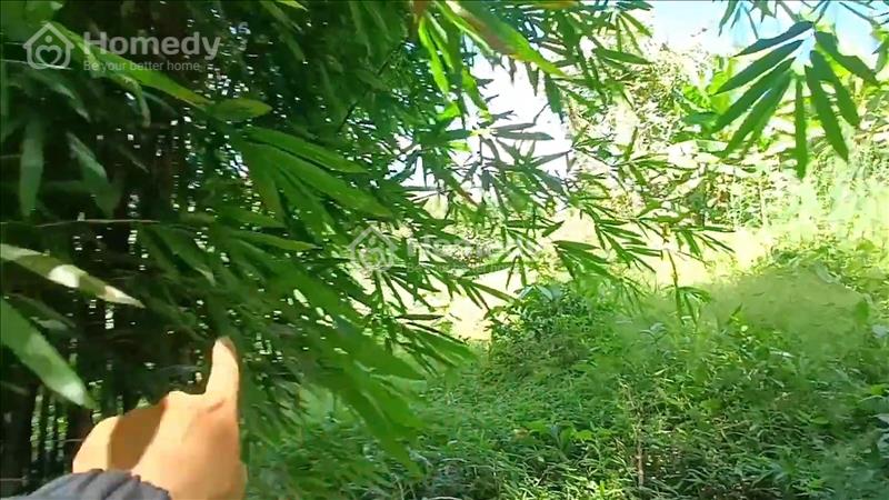 Bán đất view thác đá trung tâm Huyện ĐăkRLấp, 1.2ha ôm thác giá 1.550 tỷ - Ảnh 8