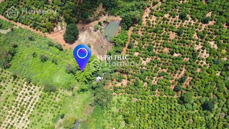 Bán đất view thác đá trung tâm Huyện ĐăkRLấp, 1.2ha ôm thác giá 1.550 tỷ - Ảnh 2
