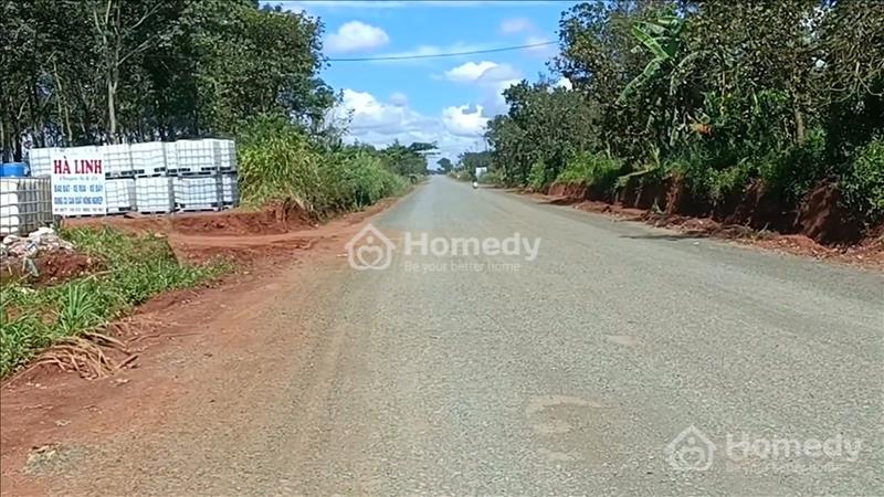 Bán đất view thác đá trung tâm Huyện ĐăkRLấp, 1.2ha ôm thác giá 1.550 tỷ - Ảnh 5