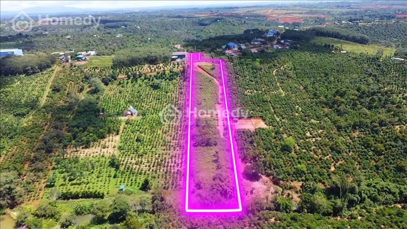 Bán đất view thác đá trung tâm Huyện ĐăkRLấp, 1.2ha ôm thác giá 1.550 tỷ - Ảnh 11