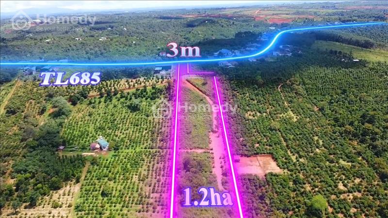 Bán đất view thác đá trung tâm Huyện ĐăkRLấp, 1.2ha ôm thác giá 1.550 tỷ - Ảnh 12