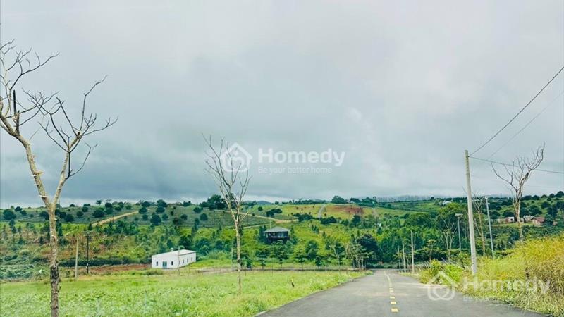 Bán lỗ lô đất Park Hill - Lộc Tân - Tp Bảo Lộc giá ngộp 490 triệu - Ảnh 1