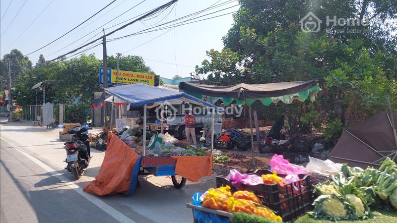 Bán rẻ lô đất Mặt tiền chợ 16x60=1010M2 giá180 TRIỆU ngay KDC, gần KCN, tiện đầu tư / xây nhà ở - Ảnh 6