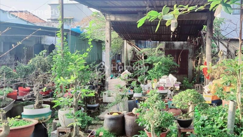 Rẻ nhất khu vực 170m2 7,8x21,5 Full thổ cư - Thạng Lộc Quận 12 - Hẻm xe tải thông - Chỉ 4,2 tỷ - Ảnh 2