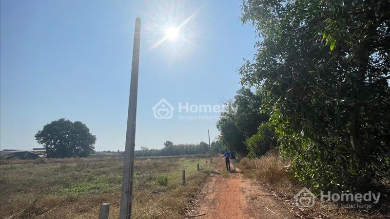 Bán nền đất full thổ 5x25 ngay KCN Hiệp Thạnh - Ảnh 2