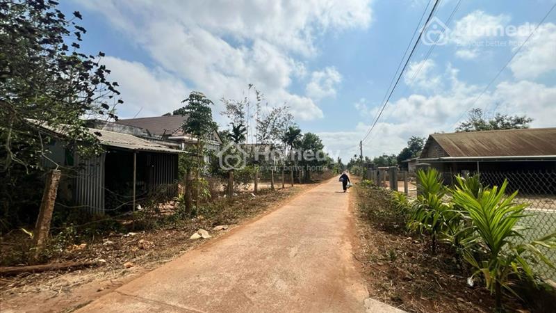 Lốc 5 lô Đất giá rẻ 255tr Ea knuec Gần Ngay chợ Giá cực kì rẻ - Ảnh 1