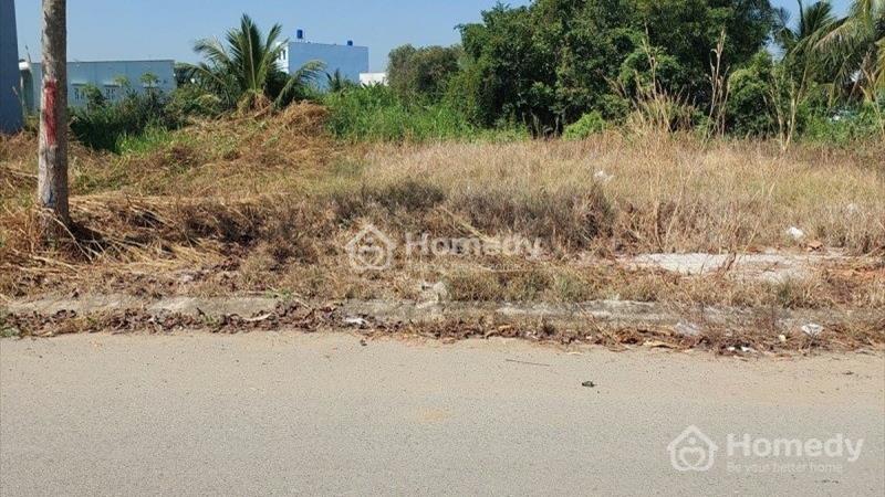 Bán gấp đất ngay KCN Thành Thành Công, Tây Ninh, 5x23, Giá 390 triệu (TL) - Ảnh 3