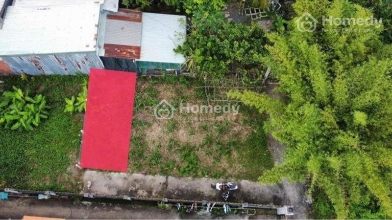 Bung gấp vài nền giá siêu rẻ chỉ 320tr cho anh/chị đầu tư - Ảnh 1