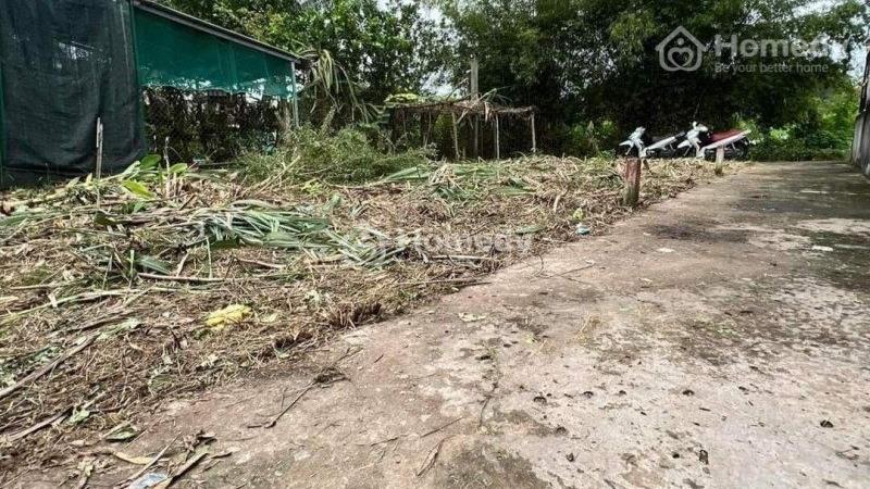 Bung gấp vài nền giá siêu rẻ chỉ 320tr cho anh/chị đầu tư - Ảnh 2