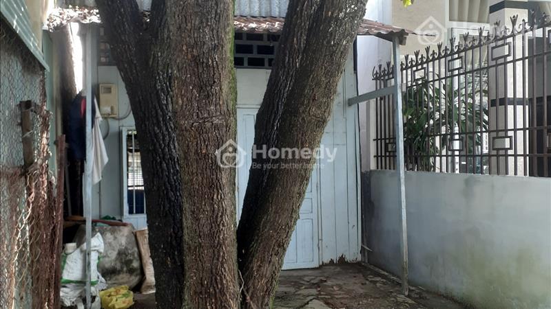 Đất đã sổ hồng ở đường Nguyễn Van Trỗi ,phường 2, Thành phố Bạc Liêu - Ảnh 2