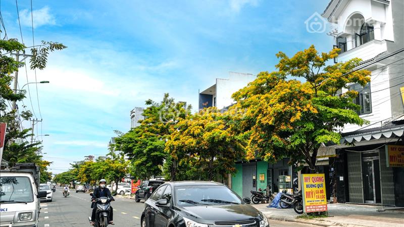 Bán nhà 2 mặt tiền đường kinh doanh lê Quảng Chí Hoà Xuân đang có nguồn thu tốt - Ảnh 2