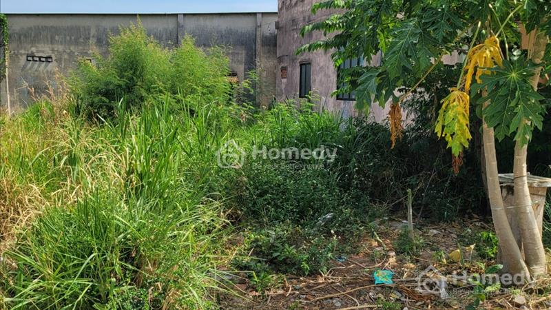 Bán đất Huyện Đất Đỏ - Bà Rịa Vũng Tàu giá 15.59 Tỷ - Ảnh 1