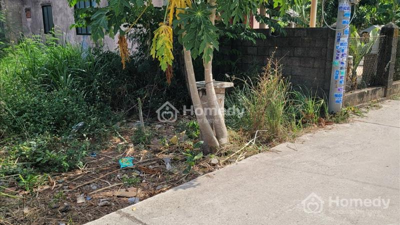 Bán đất Huyện Đất Đỏ - Bà Rịa Vũng Tàu giá 15.59 Tỷ - Ảnh 7