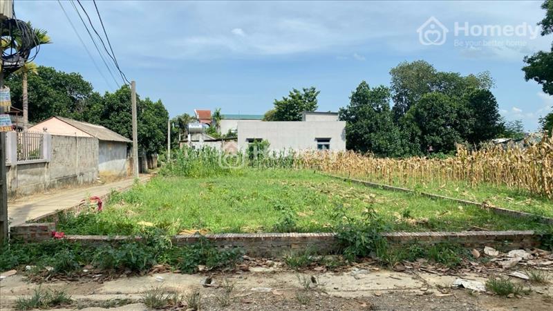 Vị trí đẹp  2 mặt tiền phân lô được chục chính Phú sơn.tiện ích mọi thứ 0967125960 - Ảnh 3