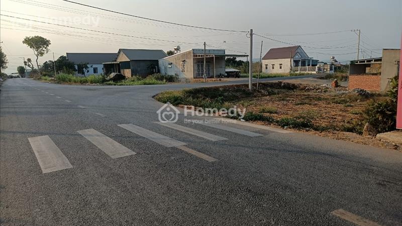 Bán Đất Đức Trọng Lâm Đồng 4422M2, Mặt Tiền 65M, dài 68M 820TR/SÀO - Ảnh 1